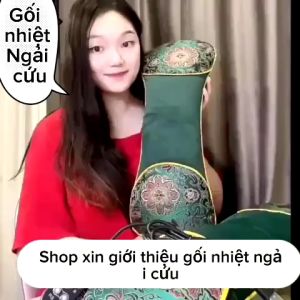 Gối Thảo Dược Ngải Cứu-Gối Cắm Điện Sưởi ẤmChườm NóngKê Cổ Gối Đầu Với Hương Thơm Ngải Cứu Thư Giãn Giảm Mệt Mỏi
