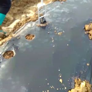 5cm Alat Lobang Plastik Mulsa Pertanian Alat Plong Mulsa Tahan Lama Pelubang Mulsa Plastik
