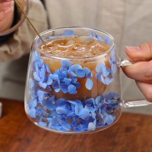 1PCS 220ml Double Wall Glass Cup with Handle Dried Flower Decorated Coffee Cup Milk Mug Heat Resistant Tea Cups Kitchen Supplies