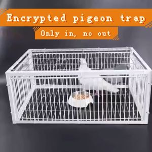 Fully automatic pigeon cagekalapati pigeon house kulungan ng manokcage for pigeonpigeon breeding cage pigeon accessories only enter but not exit sky-falling cage automatic jumping door and hitting door cage pigeon tools