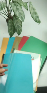 Merit Smart Clear Folder Long & Short Sold by 5 pcs