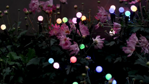 【24H SHIP】Solar Firefly Lights 12LED Dusk to Dawn Auto On Off Swaying Outdoor Garden Lamp Warm White Rainbow IP65 Waterproof