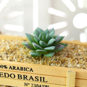 Lovely Succulent Plastic Artificial Plant Potted Party Christmas Simulation Bonsai Craft Green Yellow Balcony Room Decorations