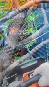 VERGIN เลื่อยยนต์2 จังหวะ 5880 (แถมโซ่ 3ชิ้น บาร์ 2ชิ้น)34CC 2 แหวน 2แรง 3500 รอบ/นาที เลื่อยลึก เลื่อยคม สามารถใช้งานหนักได้