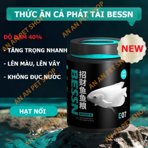 🌟 Cám Cá Phát Tài BESSN | Tăng Trưởng Mạnh Lên Màu Đẹp Không Dầu Không Hóa Chất! 🐟✨