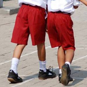 Celana Pendek SD Warna Merah Putih Coklat Pramuka Bahan Grande A