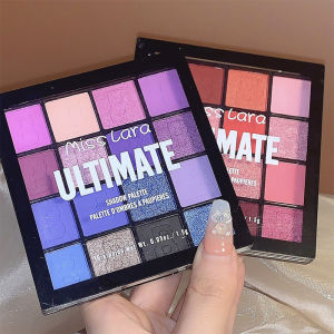 Blue Eyeshadow Palette Stage Makeup 16 Colors Pearl Shiny Sparkling Affordable Waterproof Beginner FriendlyDIKALU