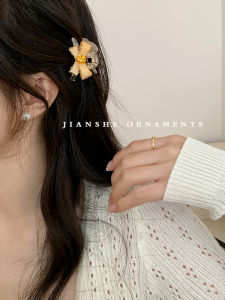 Double-Sided Rhinestone Mesh Butterfly Knot Small Hair Clip Sweet Princess Side Bun Hair Clip Hair Accessory Fashionable Korean Style