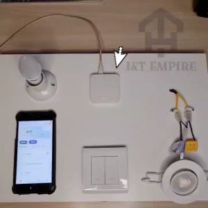 I&T EMPIRE_Tuya Zigbee 3.0 wireless mini gateway hub smart home Smart Life Alexa Google Home Tmall