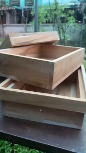 กล่องเลี้ยงผึ้ง ชันโรง 2ชั้น ทำจากไม้สัก กล่องผึ้ง กล่องใส่ผึ้ง - Lazada