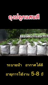 1 กิโล ถุงปลูก ถุงเพาะชำ ถุงปลูกผัก ระบายน้ำดี รากเดินไว 8 ปี
