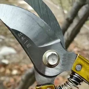 Gunting Kebun Pangkas/Dahan Ranting Pohon/Stock Gunting Dahan/ Gunting Dahan 8 Inch/Stainless Garden Shear/Gunting Dahan Ranting Poh