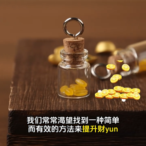 开光 发财瓶 七粒福米 招财摆件 招财七粒米仓 生财米罐 财富瓶 神台办公桌家居装饰 随身携带 创意礼物 风水 元宝 五帝钱 招财 風水擺件 FENG SHUI Decoration