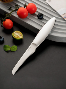 onlycook | Portable Fruit & Peeling Knife Stainless Steel