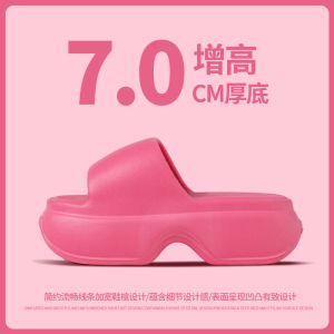 Womens Summer Outdoor Sandals 2025 New Thick Heel Platform Slip-On Beachside Flat Bottom Printed Pattern EVA Material