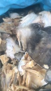 1 kg ĐẦU KHÔ CÁ TRA- nấu canh siêu ngon bổ rẻ- chất lượng cao--ĐẠI NGƯ