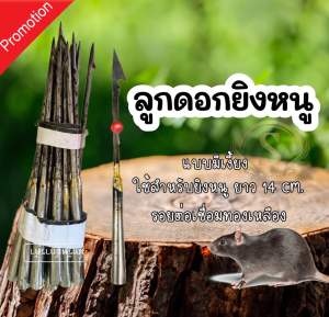 ✨รุ่นล่าสุด✨ กับดักหนูนา 1 มัด มี 10 ชิ้น ขนาด 6 นิ้ว