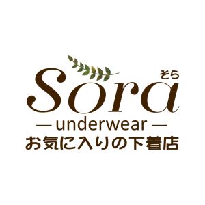 Celana dalam cd pakaian dalam underwear wanita remaja perempuan dewasa seamless polos 9935