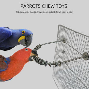 Stainless Steel Parrot Toy African Grey Parrot Budgerigar Small Parrot Hanging Ornament Biting Grinding Teeth Pet Supplies