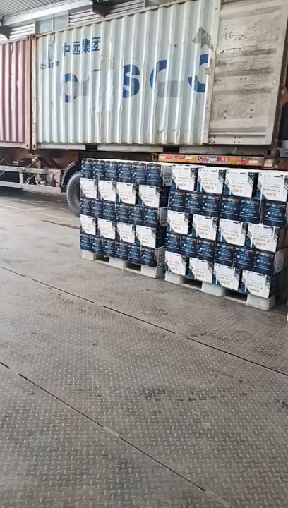 1 thùng Keo Era bond miễn đinh E350 ( nội thất)