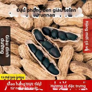 Đậu Phộng Bỏng Giống Cũ Vỏ Đen