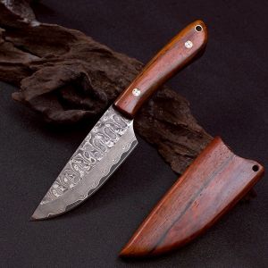 มีดพก ดามัสกัสแท้ตีทบ67ชั้น ฟักไม้ เปิดคม มีดเดินป่า VG-MAX  รุ่นDDG-002 พร้อมจัดส่ง