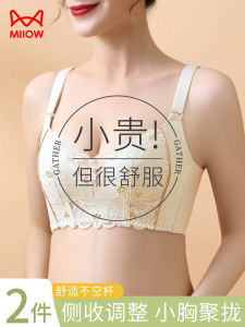 Wireless Bra Top for Women Gathered Anti-Sagging Apparent Bigger Size No Side Breasts Thin Summer Style Nylon Fabric V-neck