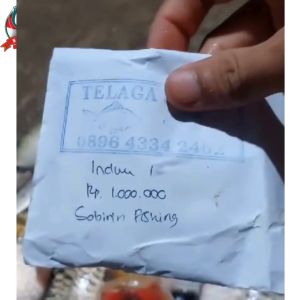 Umpan Ikan Mas Berkualitas: Umpan Pancing Mantoel Premium Sobirin Fishing Cocok Untuk Lomba