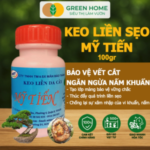Keo Liền Sẹo Cho Cây Greenhome Mỹ Tiến Chai 100gr Liền Nhanh Vết Cắt Da Cây Chiết Cành Tạo Dáng Bonsai Lan Kiểng