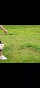 🚚🚚🚚จัดส่งจากประเทศไทย🛵🛵🛵ฟรายชีท ฟลายชีท​ เต้นท์แคมปิ้ง ขนาด3x3ม ผ้าใบ กันแดด พร้อมเสา2ต้น แถมฟรีถุงใส่