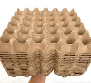 Egg Tray Carton 30pcs 50pcs 100pcs