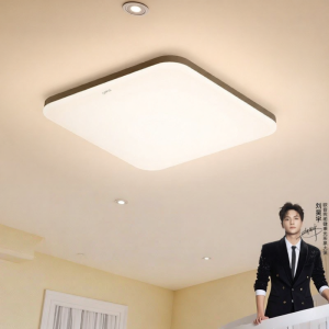 OPPLE | Modern Versatile Ceiling Light for Living Spaces