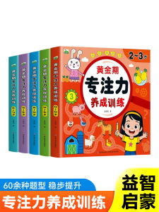 Children's Golden Period Attention Training Toys: 2-7 Years Old