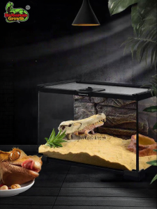 Tailwise | Eco Rainforest Reptile & Amphibian Habitat