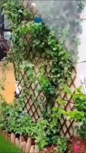 เครื่องฉีดน้ำแรงดันสูงไร้สาย ปืนฉีดน้ำแรงดันสูงไร้สาย48V เครื่องอัดฉีดเครื่องซักผ้ารถปั๊มน้ำ ฉีดน้ำแรงดันสูงแบบพกพาเครื่อง เครื่องอัดฉีด ปืนฉีดน้ำไรสาย เครื่องฉีดน้ำแบตเตอรี่ลิเธียมเครื่องล้างรถไร้สาย ทำความสะอาดอย่างรวดเ