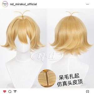 ND Brand Cosplay Wig Role Model Style Male Public Relations Department Fake Hair for Anime Charlotte Summer Table Game