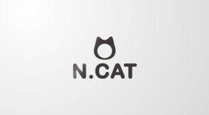 [N.CAT] No. 1 Korea Brand / Basic Simple Earrings / STUD & ROUND / Silver Color / 16459053