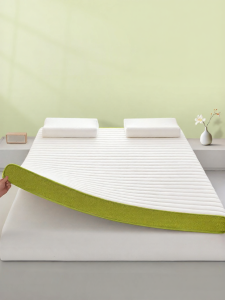 JIEMAIYA | Soft Home Bedroom Rental Student Dormitory Mattress 180cm