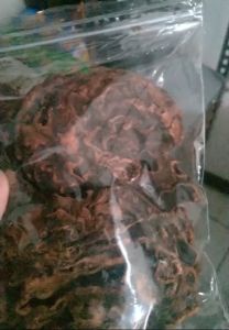 Teh Sarang Semut Asli Dari Papua Untuk Atasi Kanker, Benjolan Abnormal, Stroke, Tumor DLL 100% Asli