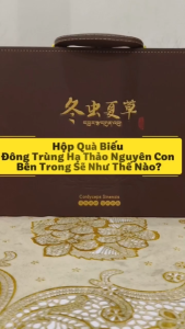 Đông Trùng Hạ Thảo Tây Tạng Nguyên Con Bổ Thận Nam Bổ Phổi Hộp Quà Biếu thực phẩm chức năng