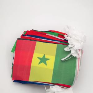30 Meters(100 Flags)World Flags String Random 100 Counties Flag Bunting Pennant Banner Banderitas