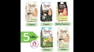 เชื่อมต่อกับทรายแมว Kasty แคสตี้ ทรายเต้าหู้ 3 วินาที ทิ้งชักโครก 6 / 10 ลิตร ออร์แกนิค จากธรรมชาติ