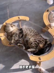 แคปซูล ครึ่งวงกลม โปร่งใส สี่มุม รังแมว เตียงสัตว์เลี้ยง โซฟาแมว อเนกประสงค์ทุกฤดูกาล อุปกรณ์สัตว์เลี้ยง