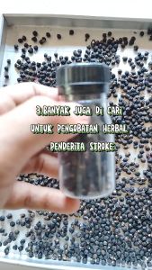 OBAT HERBAL BUAH ANGKUNG KERING