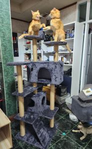 คอนโดแมวสูง 160 ชั่วโมง คอนโดแมวไม้ เหมาะสำหรับเลี้ยงแมว 4-6 ตัว