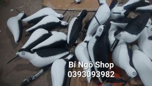 Con cà kheo chim chân hương xốp