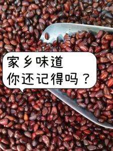 New Stock Northeast Da Xing an Ling Lake Cooked Pine Nuts Salt Water Cooked Pine Nuts Cedar Nuts Salty Flavor Wet Pine Nuts 500g
