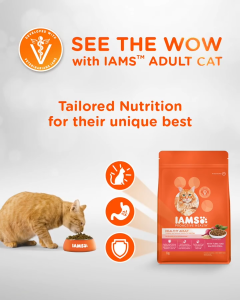 [1kg/3kg] IAMS Proactive Health Cat Food Cat Dry food complete balanced meal (Indoor/Kitten/Hairball)