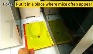 Super Sticky glue rat board Large size mouse trap board 10 years strong  Trap Rodent  insect  adhesive mice sticker