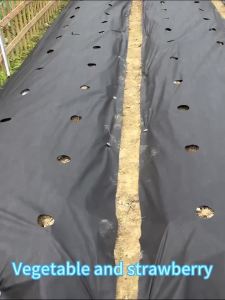 Vải Phủ Đất Màu Đen Chống Cỏ Dại Dày 0.8mm Dùng Cho Vườn Rau Dâu Tây Và Các Loại Cây Trồng Khác Vải Ngăn Cỏ Dại